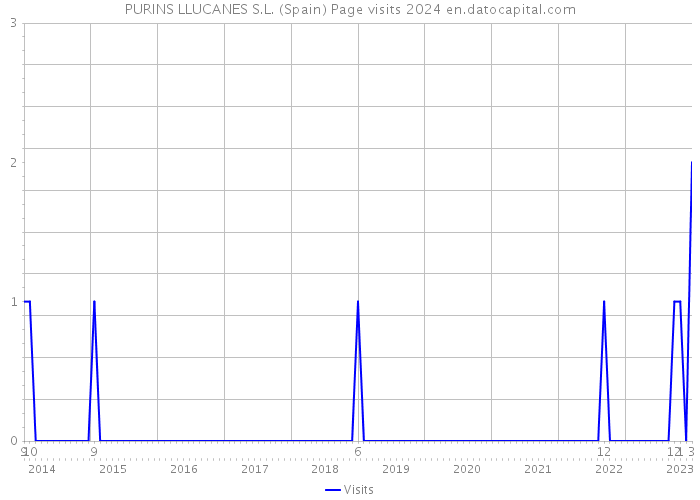 PURINS LLUCANES S.L. (Spain) Page visits 2024 