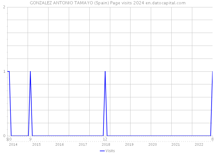 GONZALEZ ANTONIO TAMAYO (Spain) Page visits 2024 