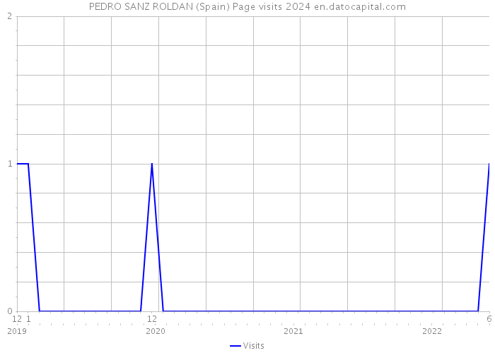 PEDRO SANZ ROLDAN (Spain) Page visits 2024 