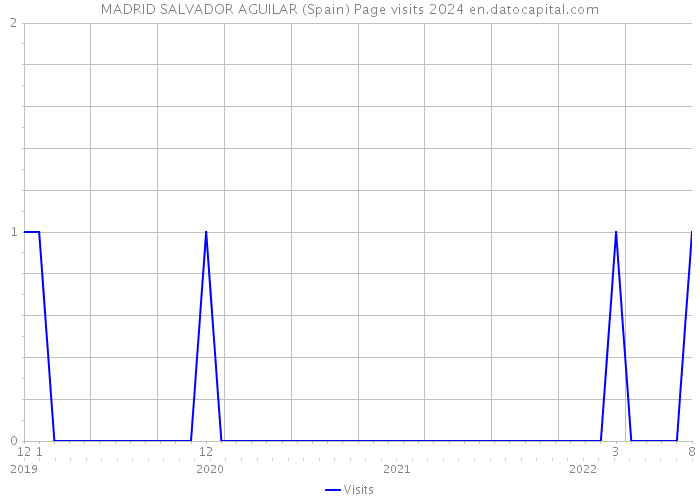MADRID SALVADOR AGUILAR (Spain) Page visits 2024 