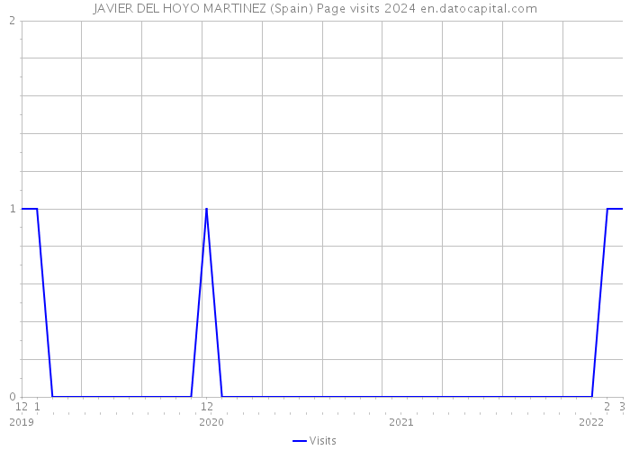 JAVIER DEL HOYO MARTINEZ (Spain) Page visits 2024 