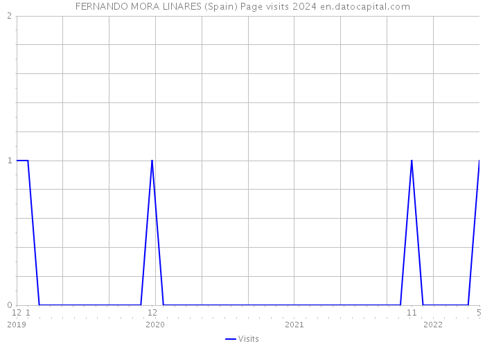 FERNANDO MORA LINARES (Spain) Page visits 2024 