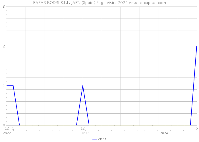 BAZAR RODRI S.L.L. JAEN (Spain) Page visits 2024 