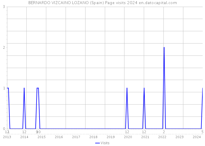 BERNARDO VIZCAINO LOZANO (Spain) Page visits 2024 
