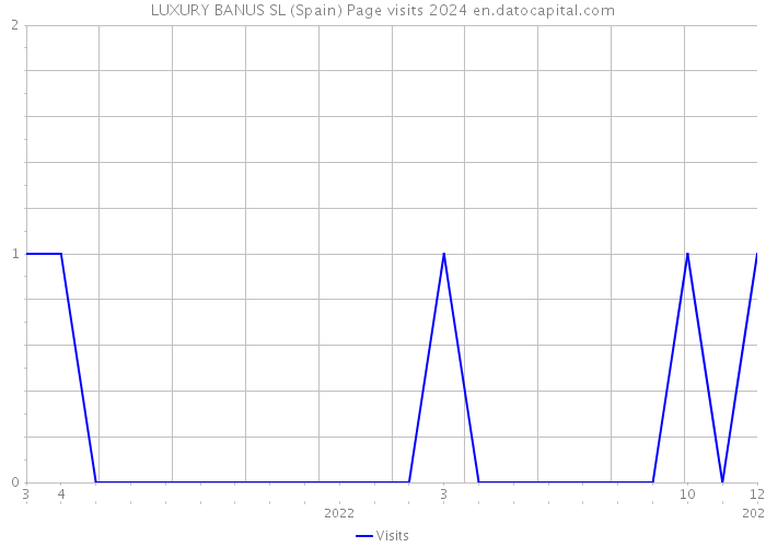 LUXURY BANUS SL (Spain) Page visits 2024 