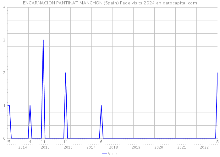 ENCARNACION PANTINAT MANCHON (Spain) Page visits 2024 