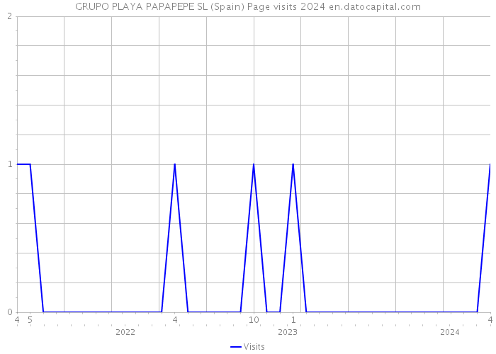 GRUPO PLAYA PAPAPEPE SL (Spain) Page visits 2024 