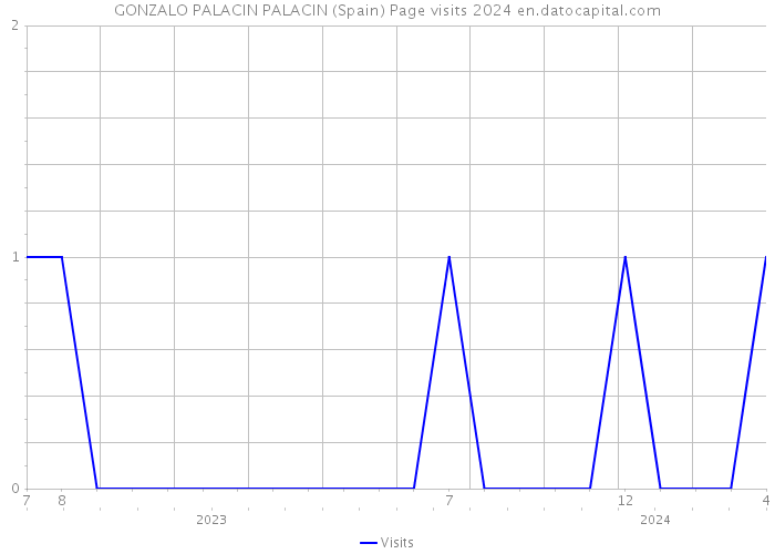 GONZALO PALACIN PALACIN (Spain) Page visits 2024 