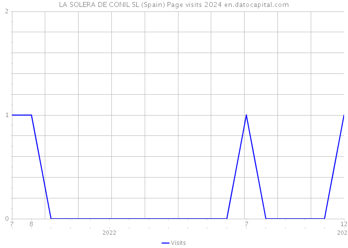 LA SOLERA DE CONIL SL (Spain) Page visits 2024 