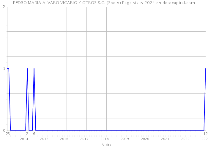 PEDRO MARIA ALVARO VICARIO Y OTROS S.C. (Spain) Page visits 2024 
