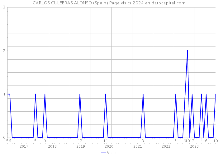 CARLOS CULEBRAS ALONSO (Spain) Page visits 2024 