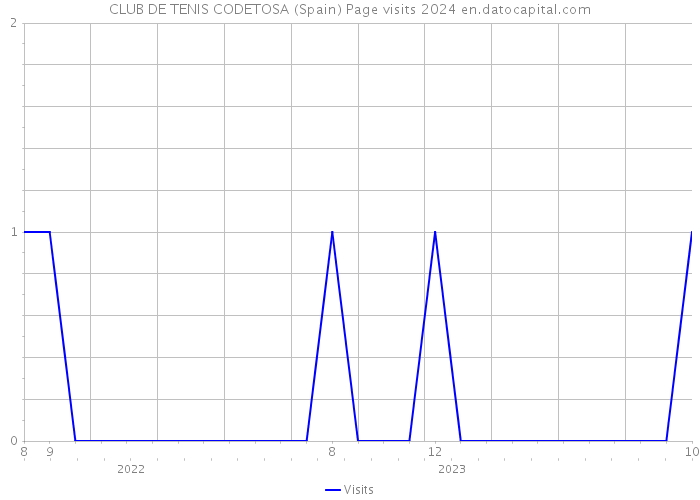 CLUB DE TENIS CODETOSA (Spain) Page visits 2024 