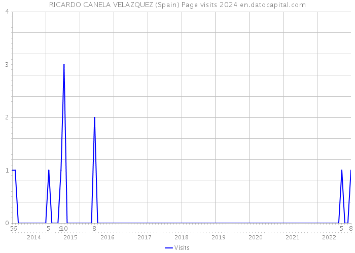 RICARDO CANELA VELAZQUEZ (Spain) Page visits 2024 