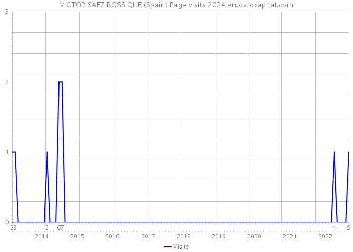 VICTOR SAEZ ROSSIQUE (Spain) Page visits 2024 