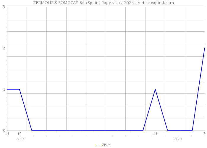 TERMOLISIS SOMOZAS SA (Spain) Page visits 2024 