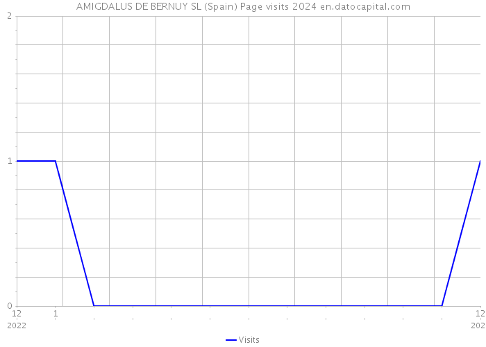 AMIGDALUS DE BERNUY SL (Spain) Page visits 2024 