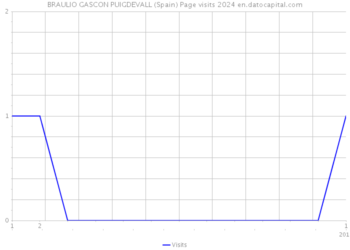 BRAULIO GASCON PUIGDEVALL (Spain) Page visits 2024 