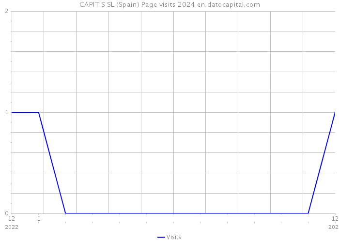 CAPITIS SL (Spain) Page visits 2024 