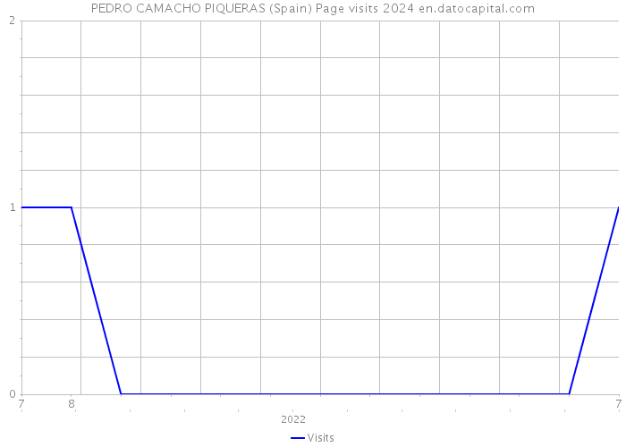 PEDRO CAMACHO PIQUERAS (Spain) Page visits 2024 