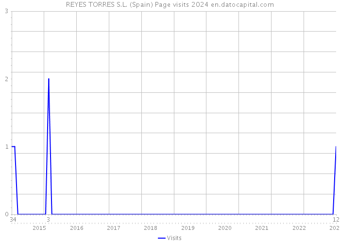 REYES TORRES S.L. (Spain) Page visits 2024 