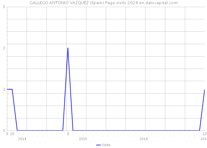 GALLEGO ANTONIO VAZQUEZ (Spain) Page visits 2024 