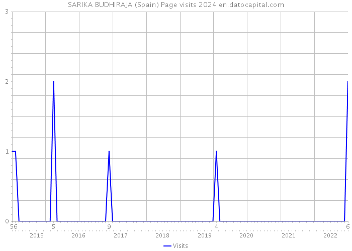 SARIKA BUDHIRAJA (Spain) Page visits 2024 