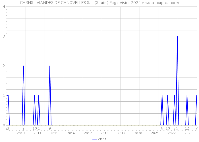 CARNS I VIANDES DE CANOVELLES S.L. (Spain) Page visits 2024 