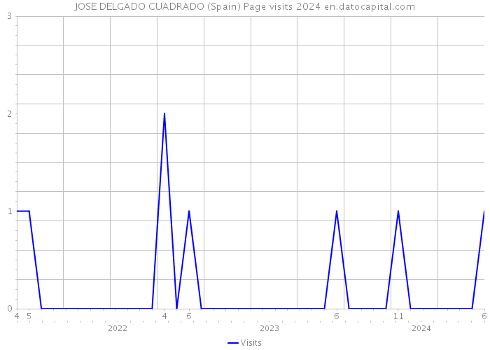 JOSE DELGADO CUADRADO (Spain) Page visits 2024 