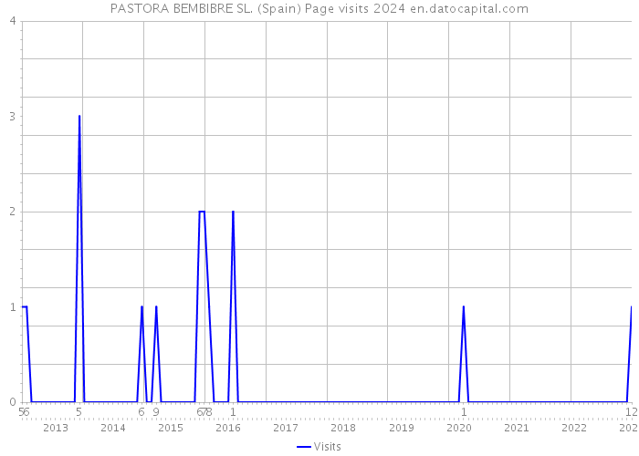 PASTORA BEMBIBRE SL. (Spain) Page visits 2024 