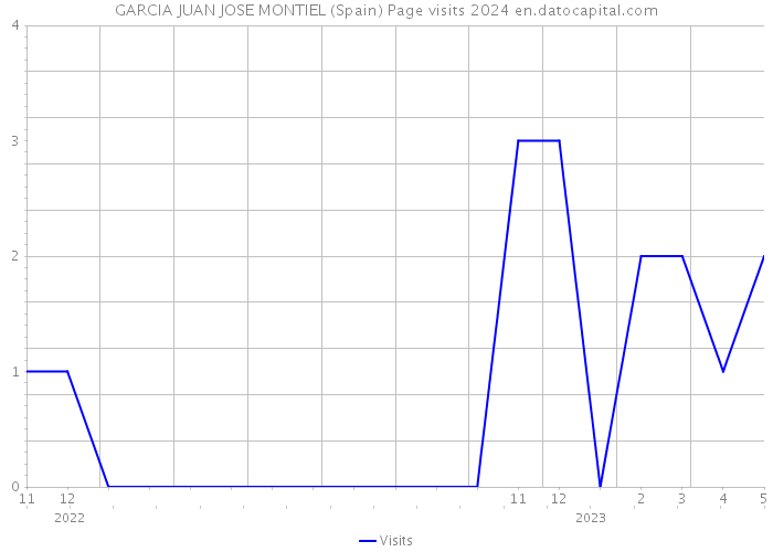 GARCIA JUAN JOSE MONTIEL (Spain) Page visits 2024 