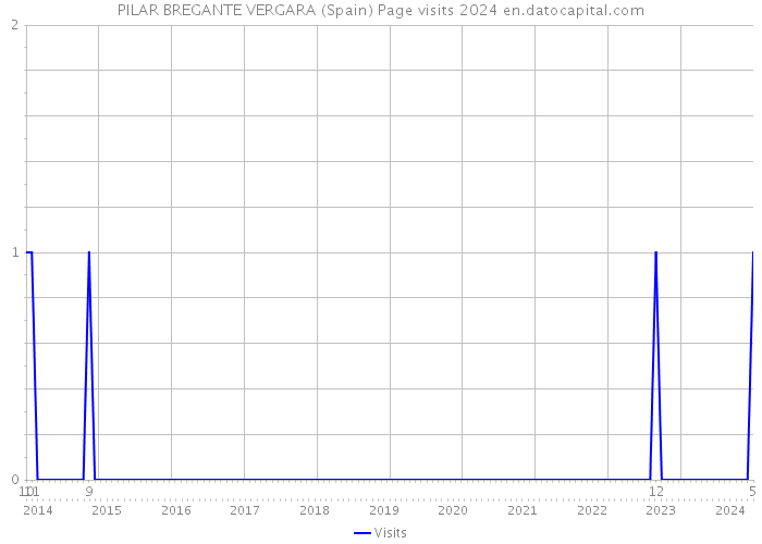 PILAR BREGANTE VERGARA (Spain) Page visits 2024 