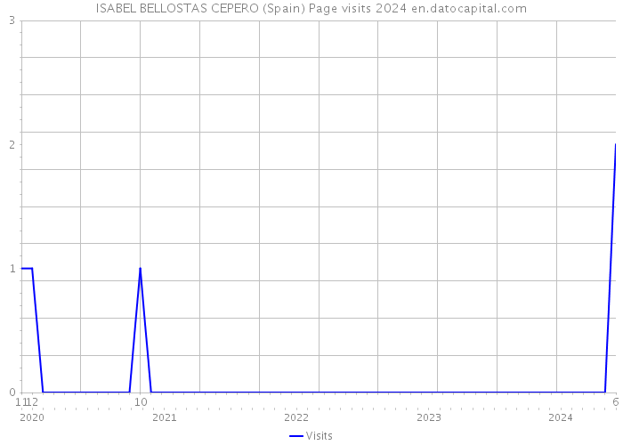 ISABEL BELLOSTAS CEPERO (Spain) Page visits 2024 