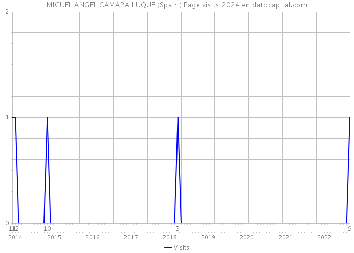 MIGUEL ANGEL CAMARA LUQUE (Spain) Page visits 2024 