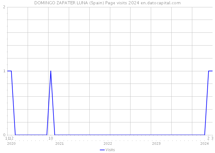 DOMINGO ZAPATER LUNA (Spain) Page visits 2024 