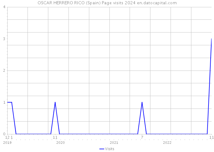 OSCAR HERRERO RICO (Spain) Page visits 2024 