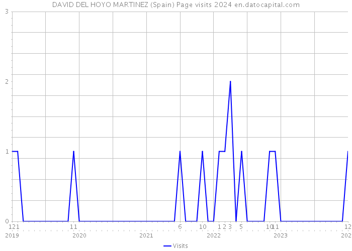 DAVID DEL HOYO MARTINEZ (Spain) Page visits 2024 