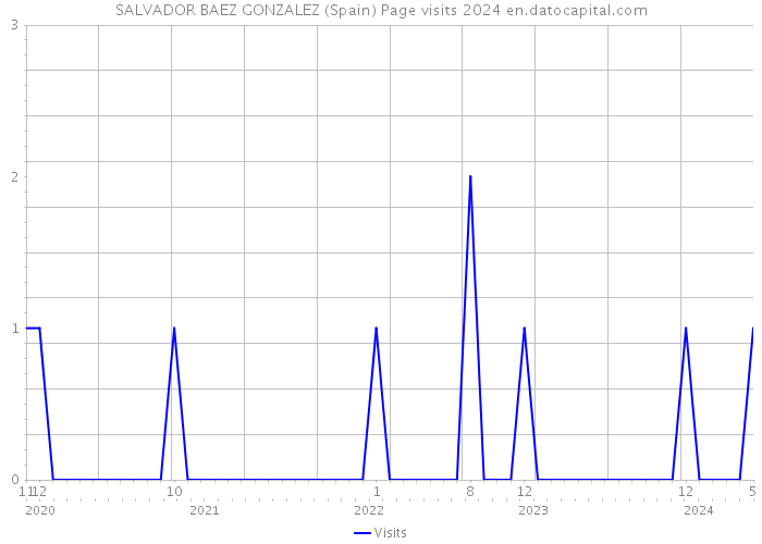 SALVADOR BAEZ GONZALEZ (Spain) Page visits 2024 