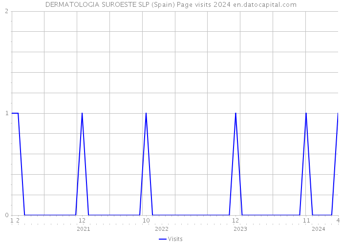 DERMATOLOGIA SUROESTE SLP (Spain) Page visits 2024 