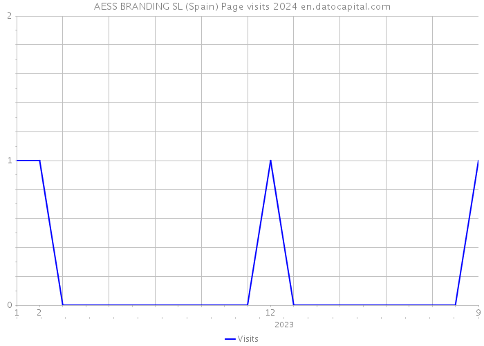 AESS BRANDING SL (Spain) Page visits 2024 