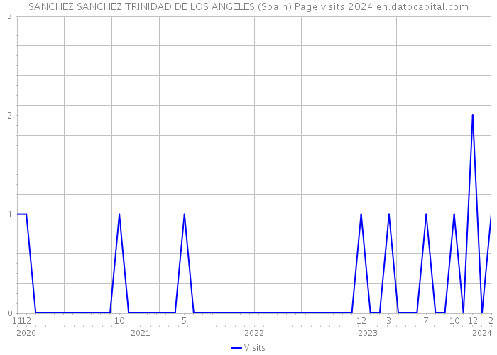 SANCHEZ SANCHEZ TRINIDAD DE LOS ANGELES (Spain) Page visits 2024 