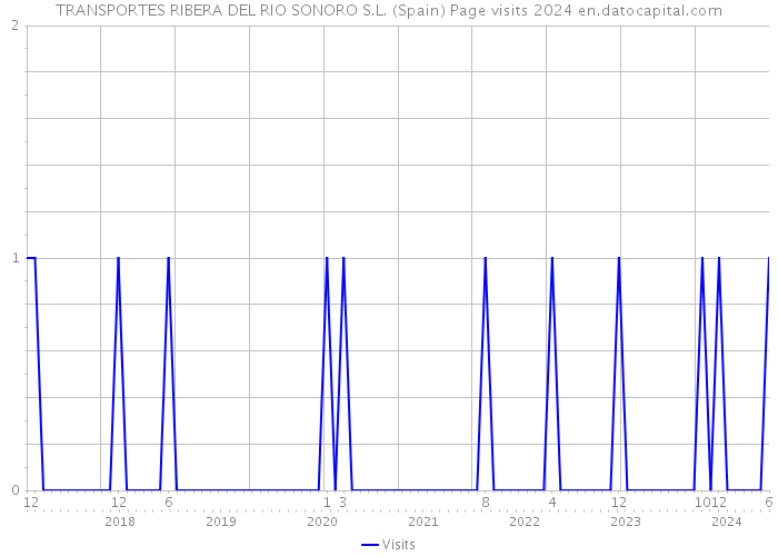 TRANSPORTES RIBERA DEL RIO SONORO S.L. (Spain) Page visits 2024 