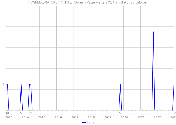HOSPEDERIA CASMON S.L. (Spain) Page visits 2024 