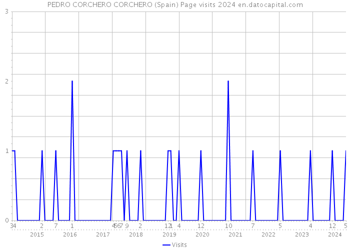 PEDRO CORCHERO CORCHERO (Spain) Page visits 2024 