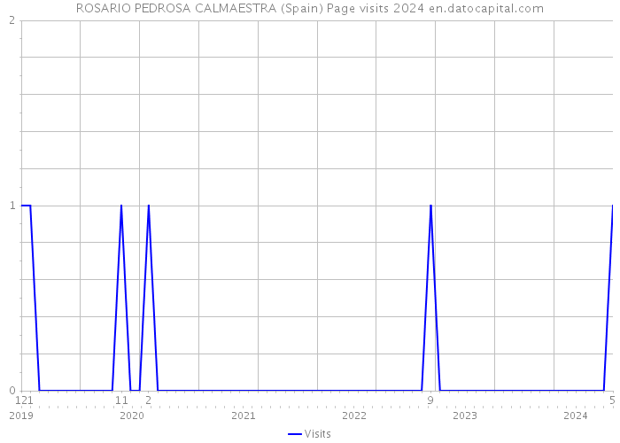 ROSARIO PEDROSA CALMAESTRA (Spain) Page visits 2024 