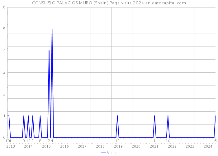 CONSUELO PALACIOS MURO (Spain) Page visits 2024 