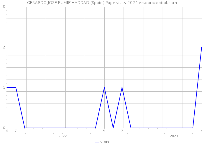 GERARDO JOSE RUMIE HADDAD (Spain) Page visits 2024 