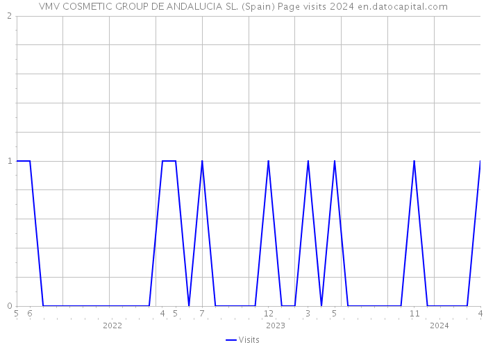 VMV COSMETIC GROUP DE ANDALUCIA SL. (Spain) Page visits 2024 