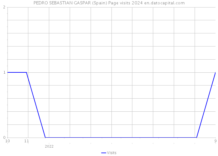PEDRO SEBASTIAN GASPAR (Spain) Page visits 2024 