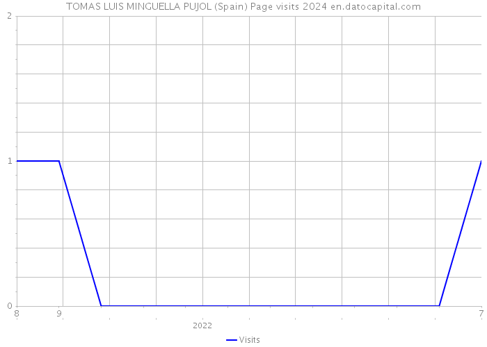 TOMAS LUIS MINGUELLA PUJOL (Spain) Page visits 2024 