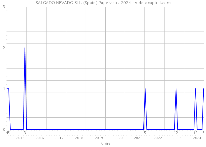 SALGADO NEVADO SLL. (Spain) Page visits 2024 
